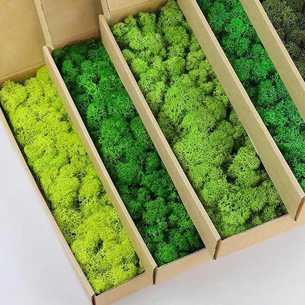 20-200g Artificial Green Plant - đánh giá và giá Sphagnum Moss Dry