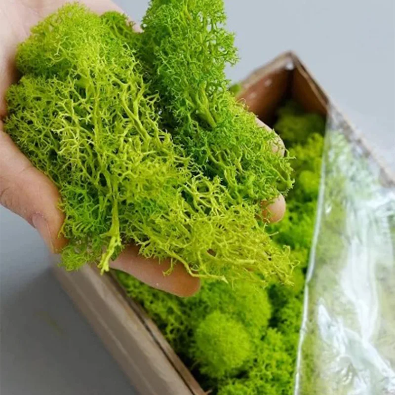 20-200g Artificial Green Plant - đánh giá và giá Sphagnum Moss Dry