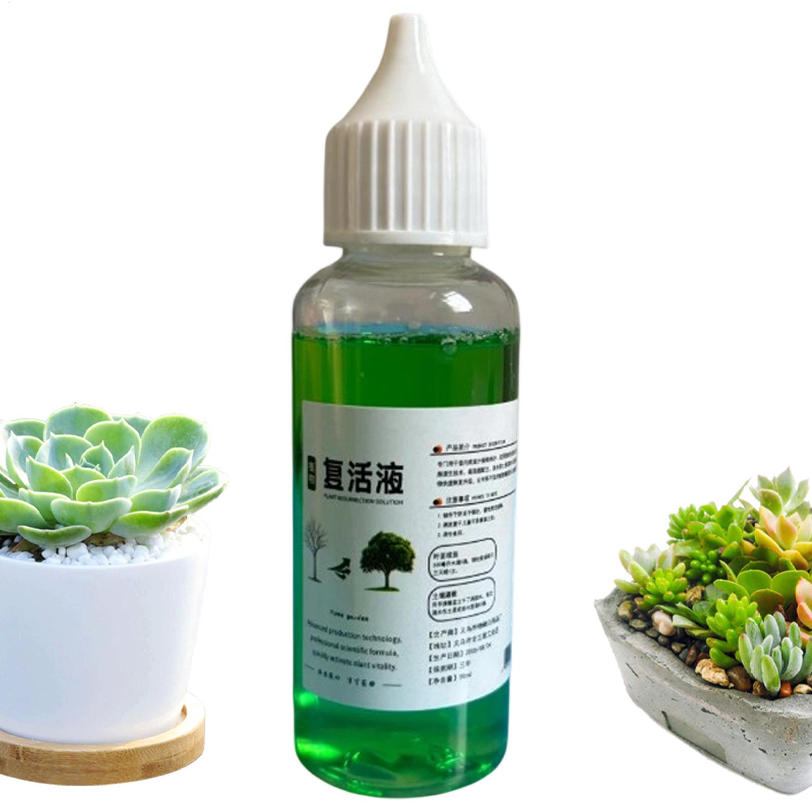 Root Stimulator for Plants Liq - đánh giá và giá Root Stimulator Liquid