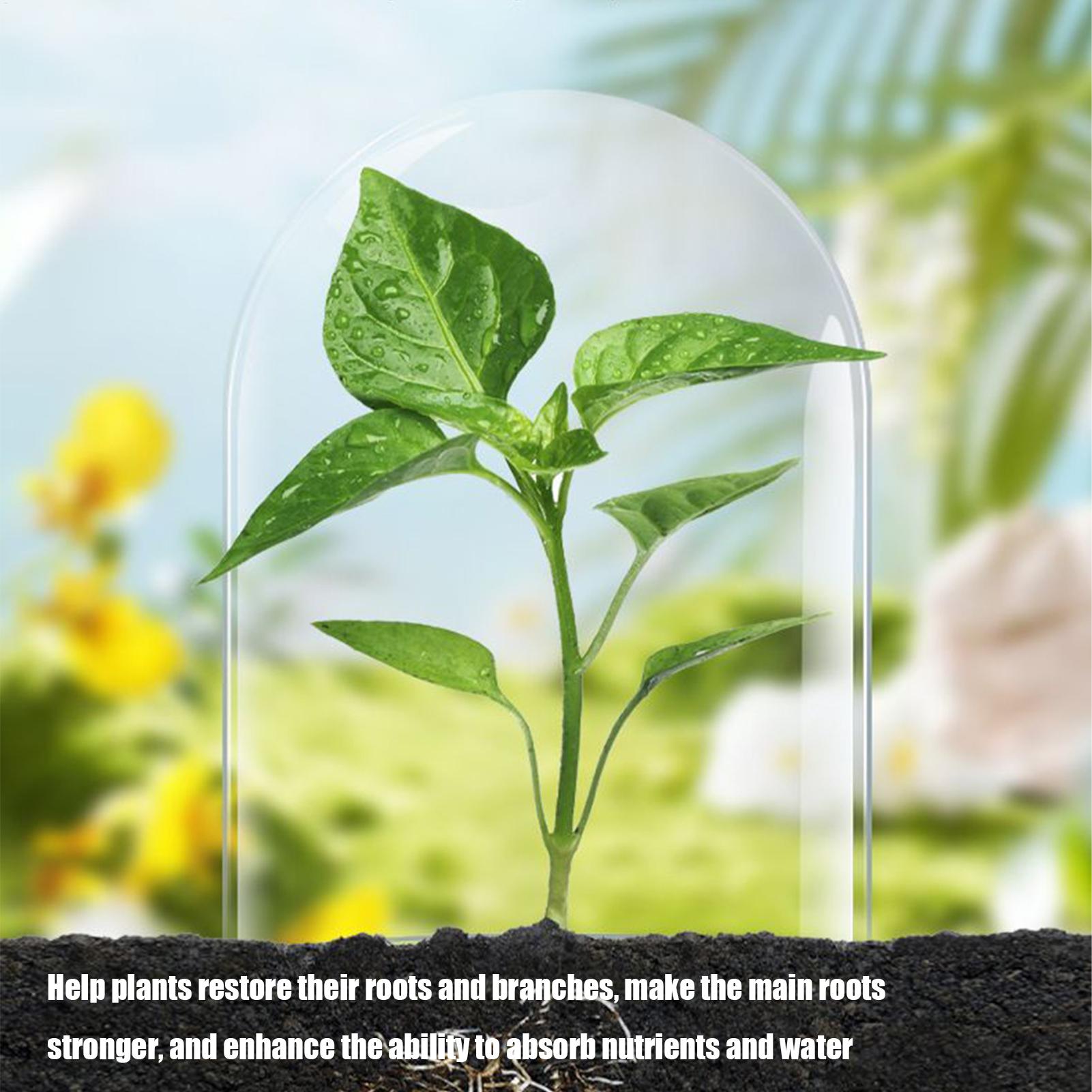 Root Stimulator for Plants Liq - đánh giá và giá Root Stimulator Liquid