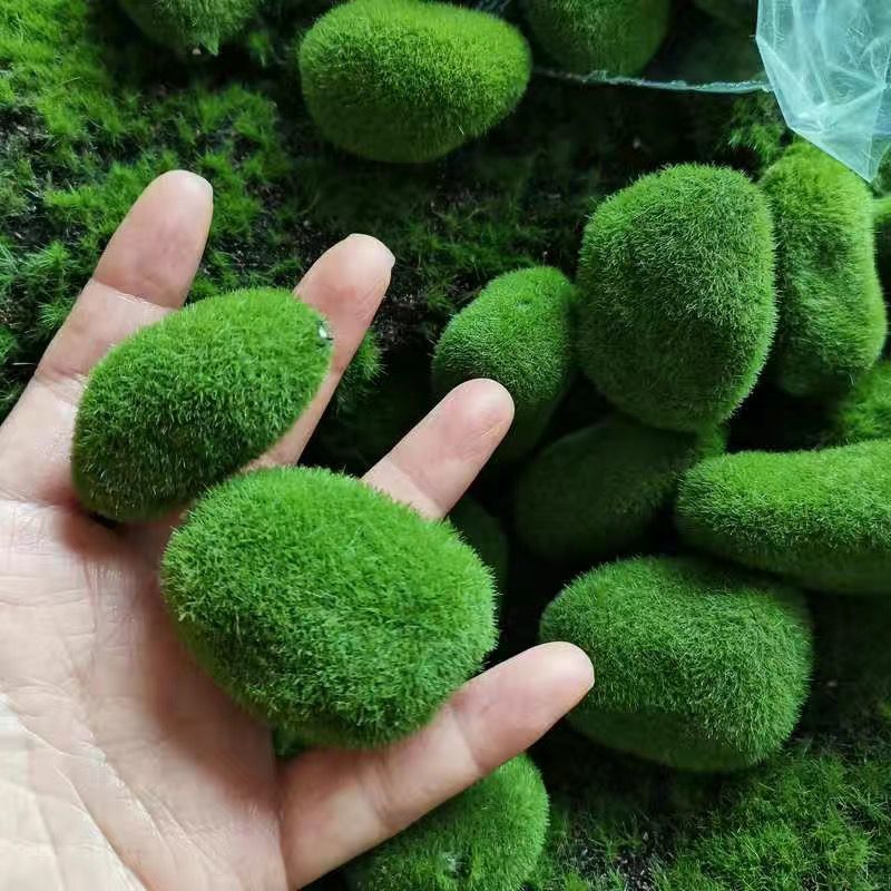 Artificial Green Moss Stones f - đánh giá và giá Sphagnum Moss Dry