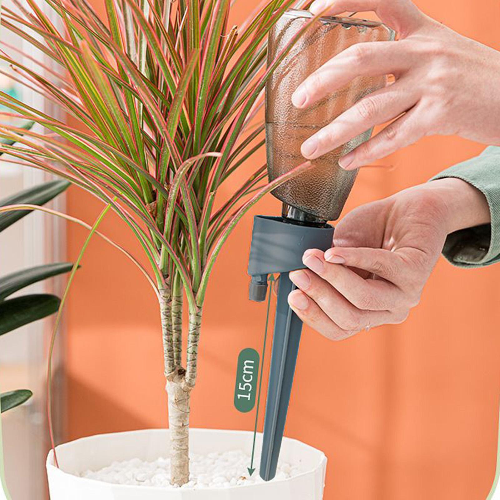 6pcs Automatic Waterer Househo - đánh giá và giá Self Watering Insert